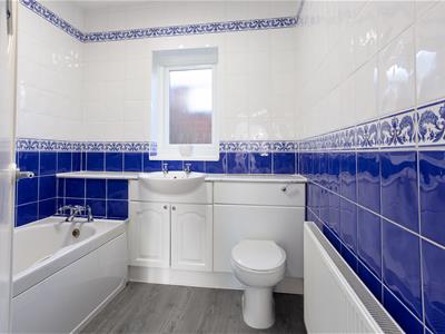 Picture 15